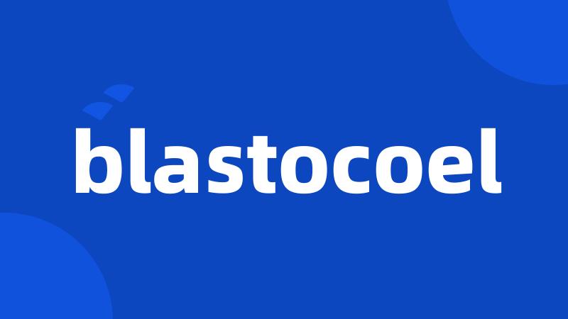 blastocoel