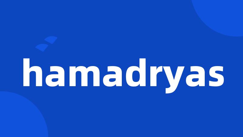 hamadryas