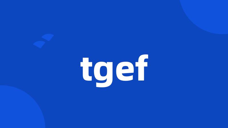 tgef