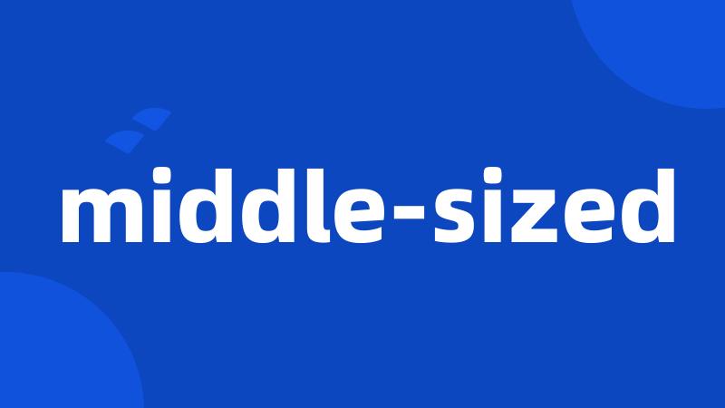middle-sized