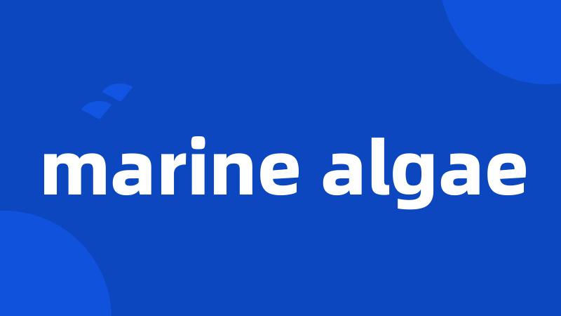 marine algae