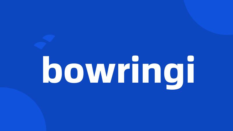 bowringi