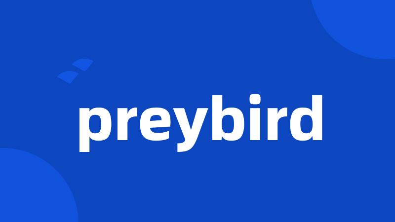 preybird