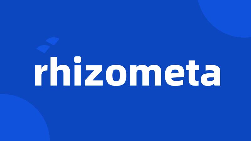 rhizometa