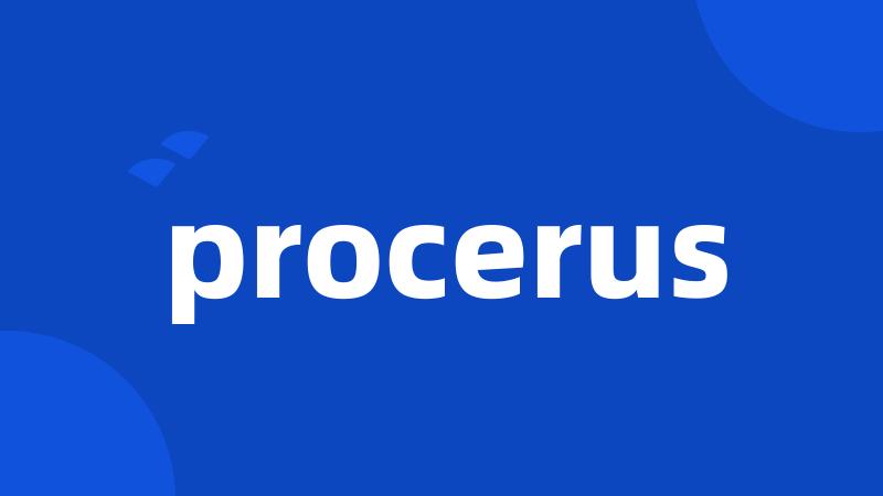 procerus