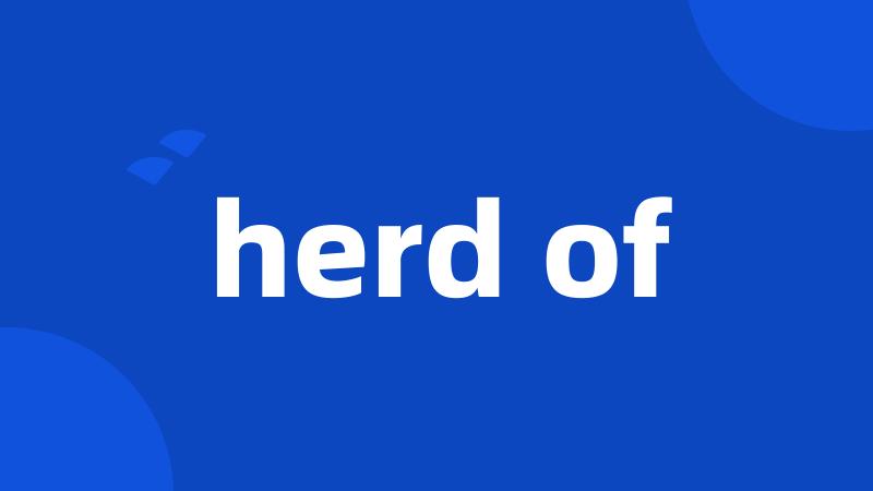 herd of