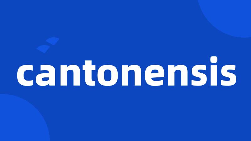 cantonensis