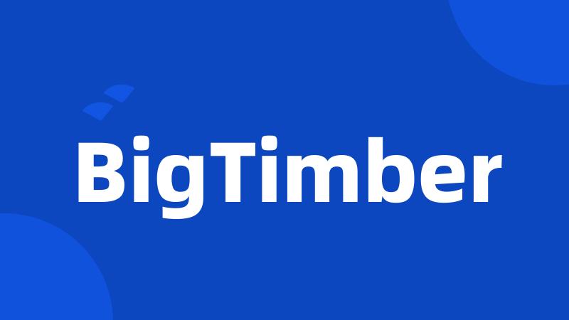 BigTimber