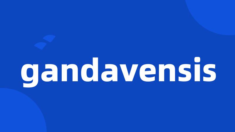 gandavensis