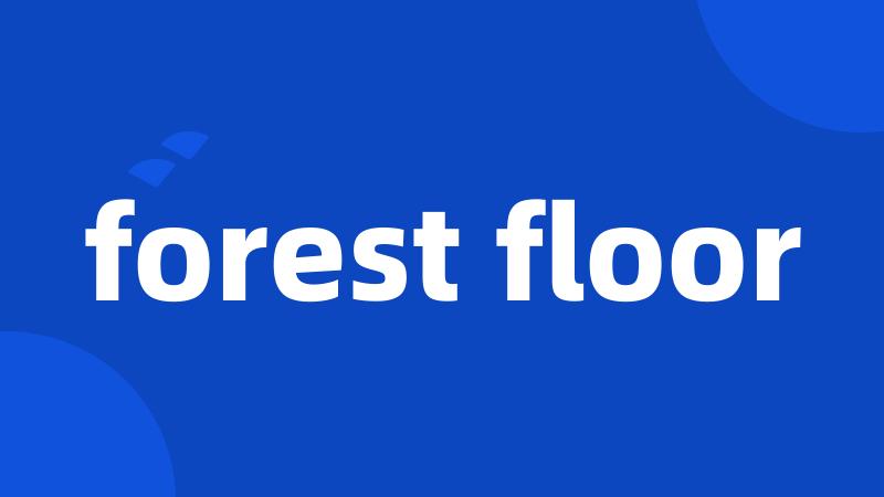 forest floor