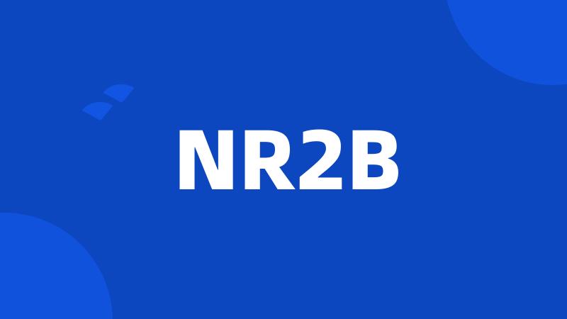 NR2B