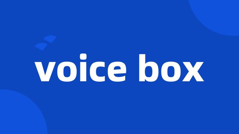 voice box