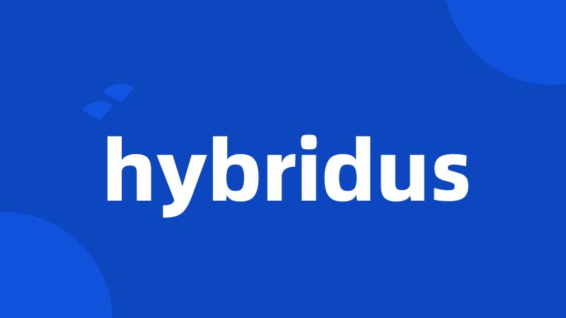 hybridus
