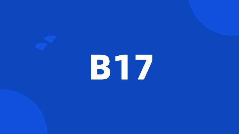 B17