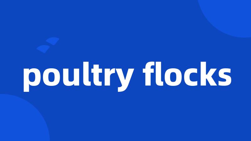 poultry flocks