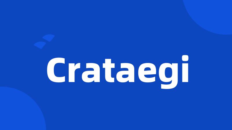 Crataegi