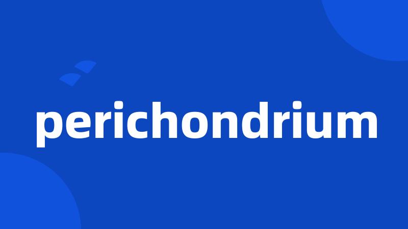 perichondrium