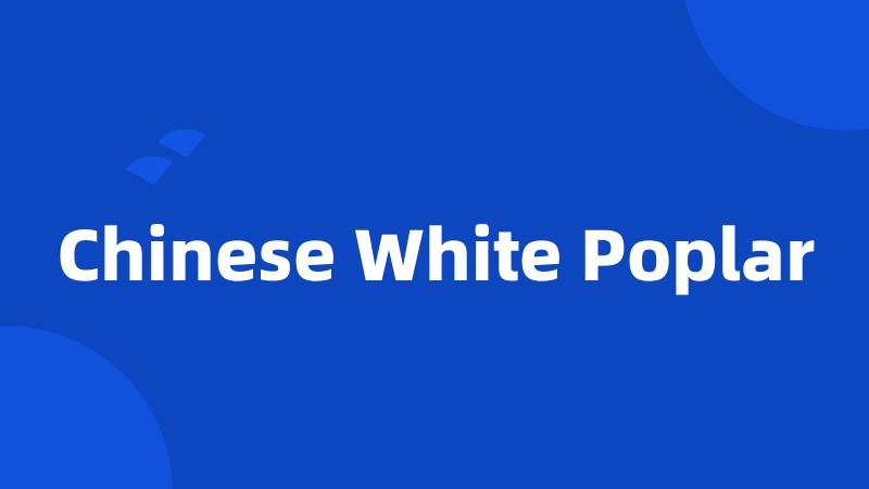 Chinese White Poplar