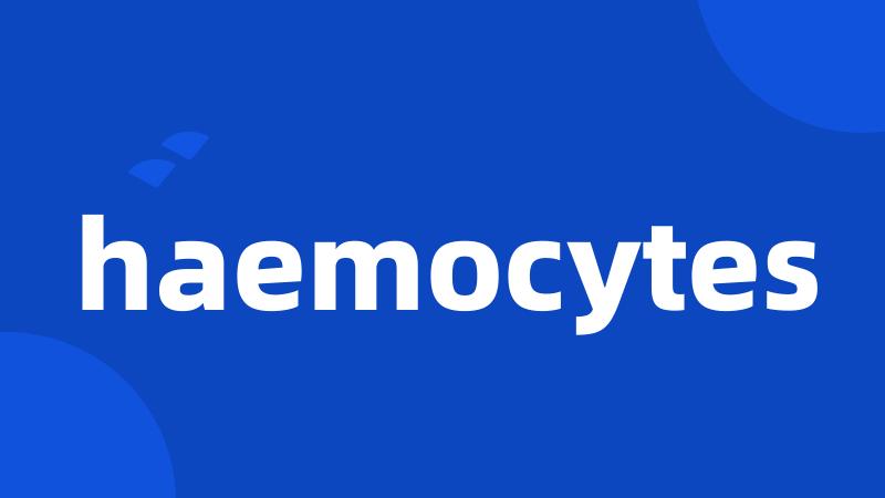 haemocytes