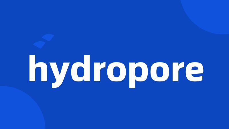 hydropore