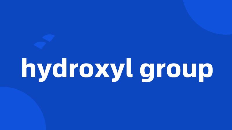 hydroxyl group