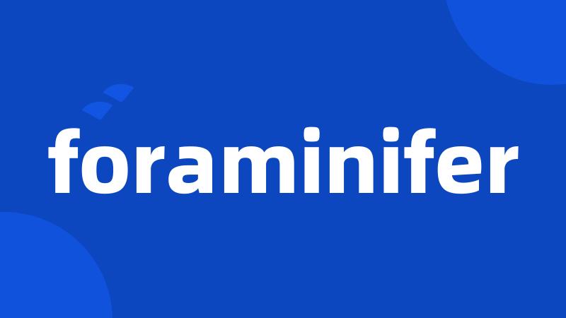 foraminifer