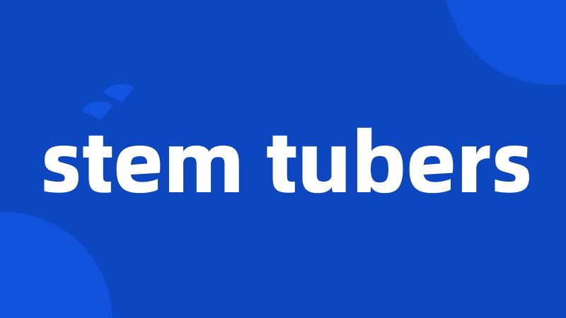 stem tubers