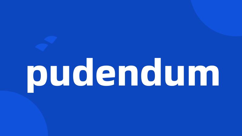 pudendum