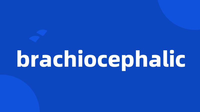 brachiocephalic