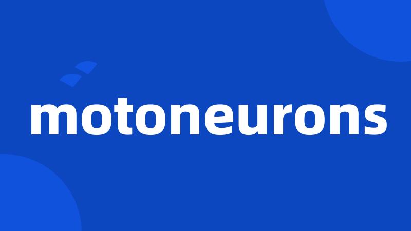 motoneurons