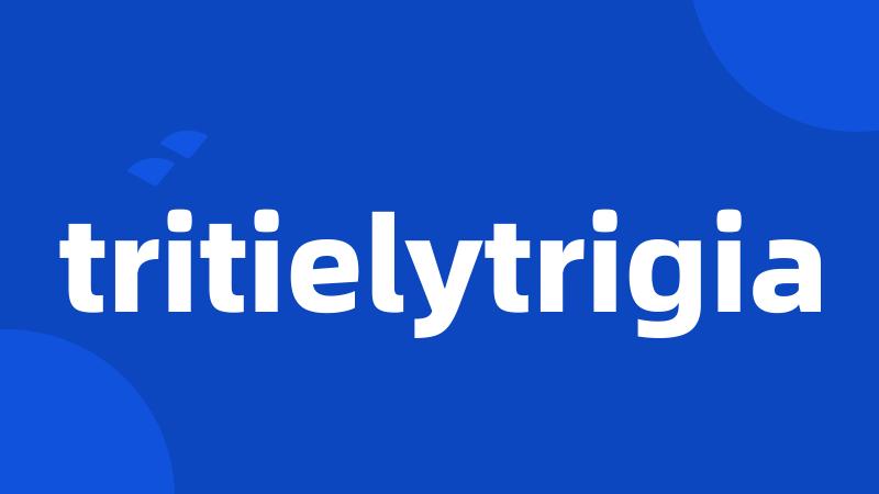 tritielytrigia