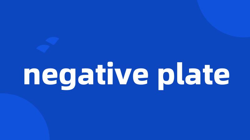 negative plate