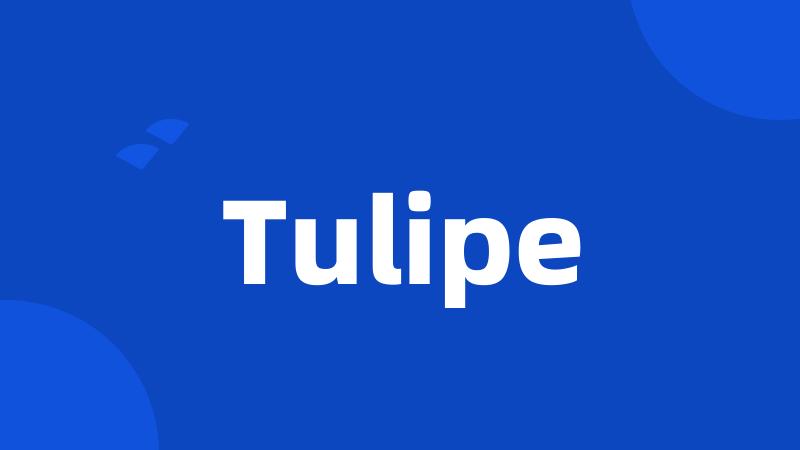 Tulipe