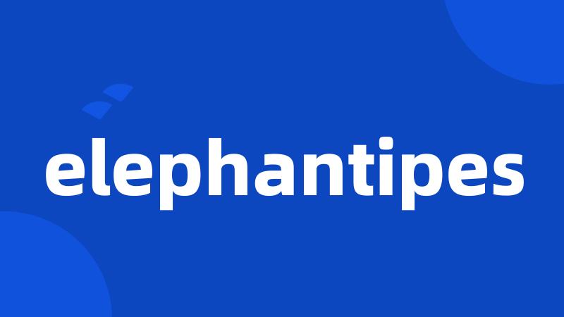 elephantipes