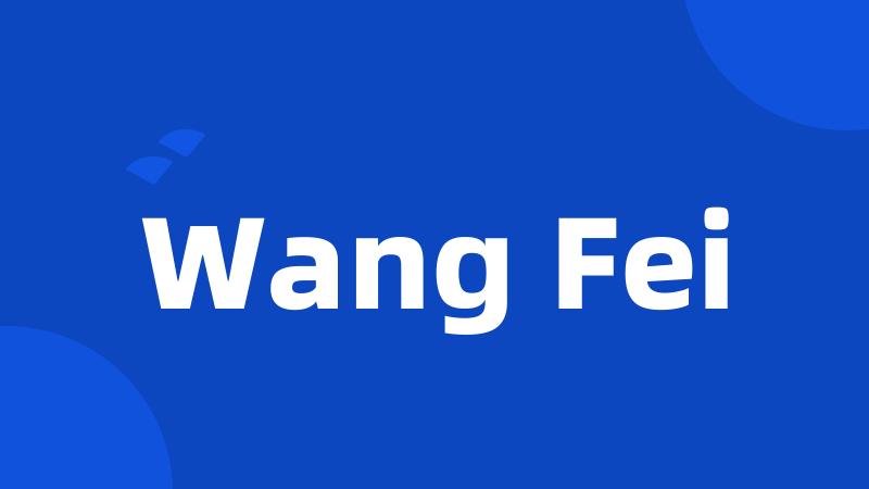 Wang Fei