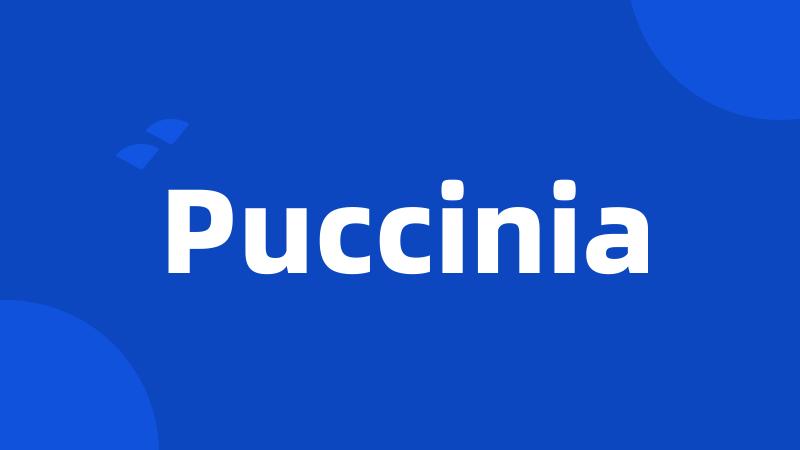 Puccinia