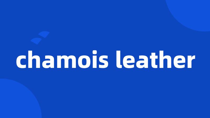 chamois leather