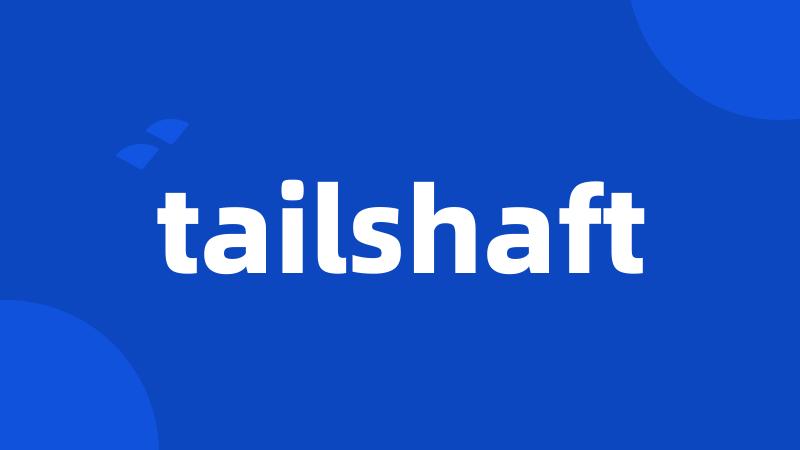 tailshaft