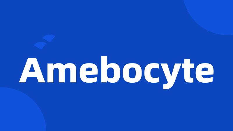 Amebocyte