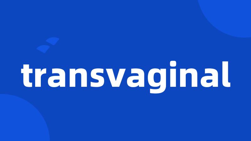 transvaginal