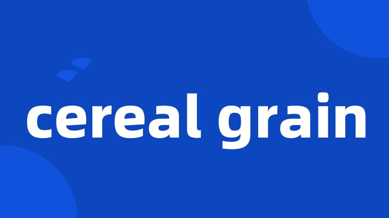 cereal grain