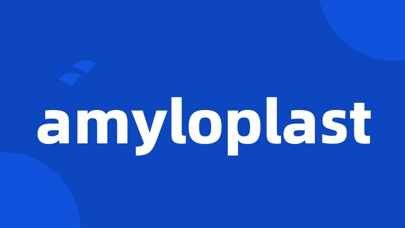 amyloplast