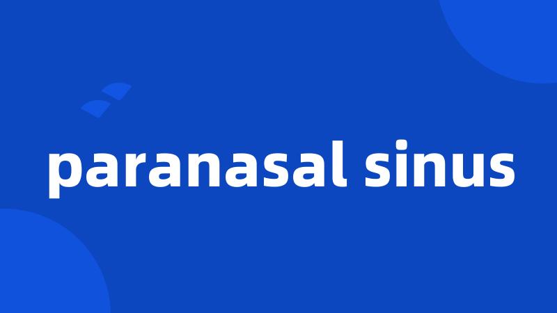 paranasal sinus