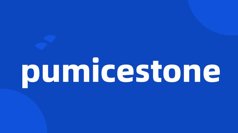 pumicestone