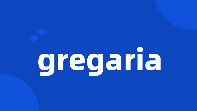 gregaria