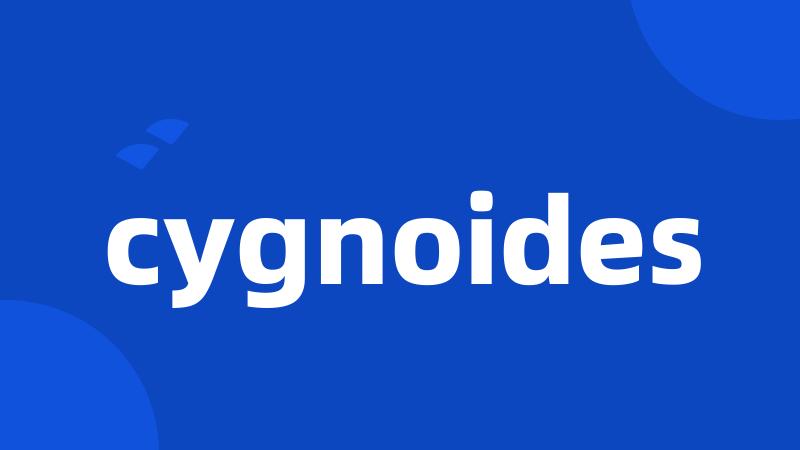 cygnoides