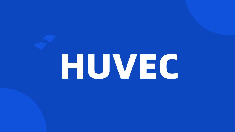 HUVEC