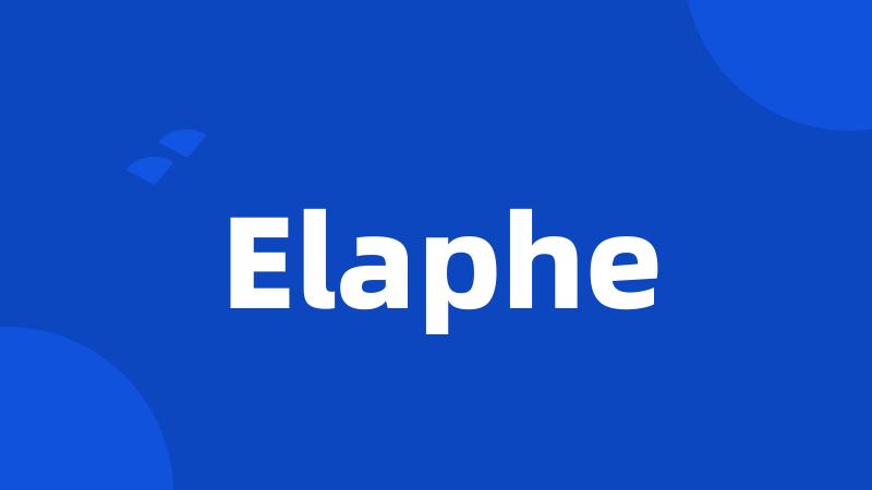 Elaphe