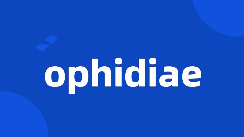 ophidiae