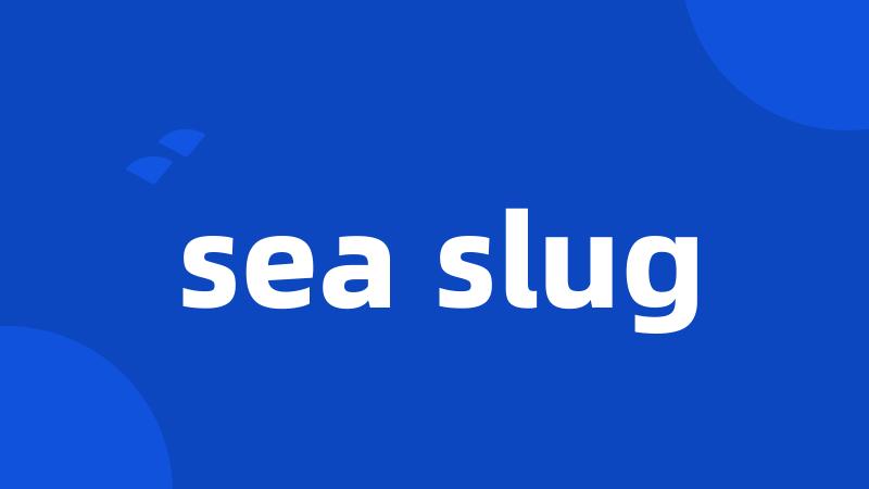 sea slug